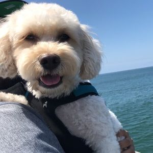 Meet your Posher, Eric